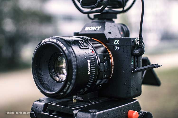 Blog_Sony-A7S2_Review_Rainy_750x500