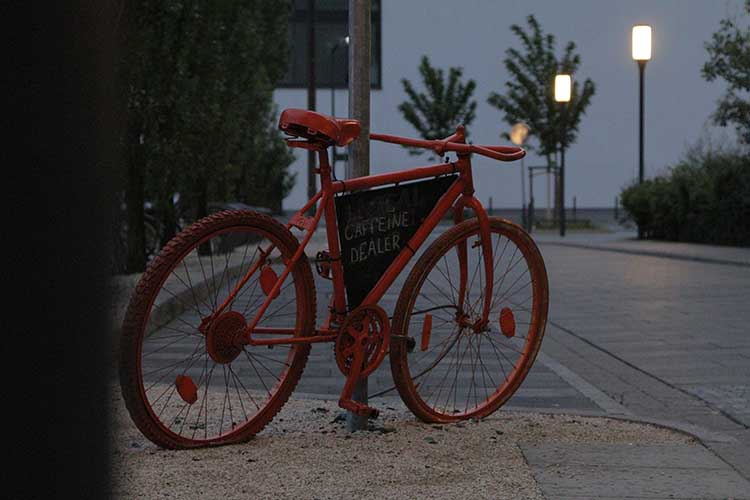 Canon-80D_ISO-6400_2_750x500